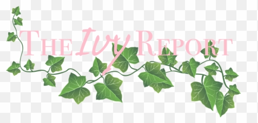 Alpha Kappa Png - Transparent Background Vine Leaves Transparent,Kappa Transparent Background
