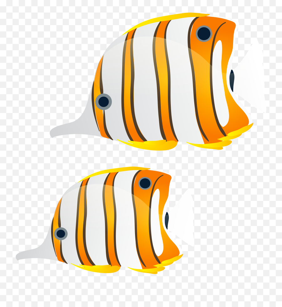 Hd Fishes Png Transparent Image