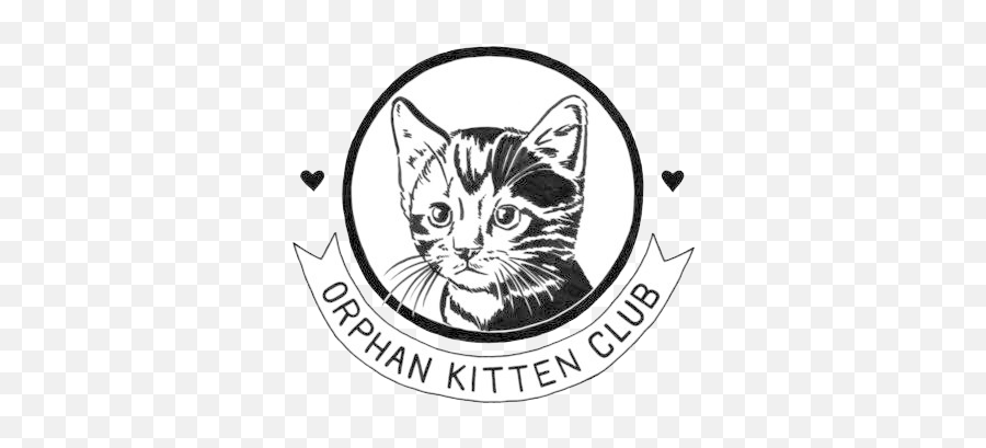 Kitten Lady - Orphan Kitten Club Logo Png,Kitten Png