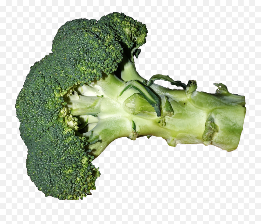 Broccoli - Superfood Png,Broccoli Png