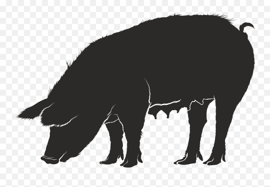 Silhouettes Of Pig Png Transparent - Cerdo Sombra,Hog Png