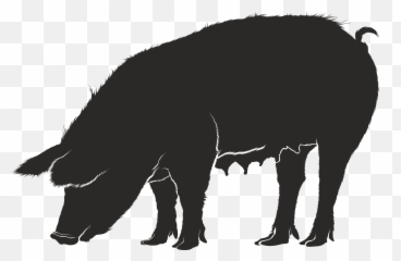 Silhouettes Of Pig Png Transparent - Cerdo Sombra,Hog Png