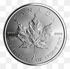 Canadian Silver Maple Leaf Clipart - Full Size Solid png