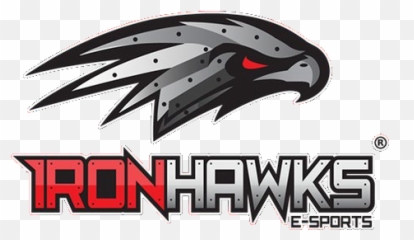 Download Hawks E Sports Logo Png Image With No Background - Hawks Sports Logo,Hawks Logo Png