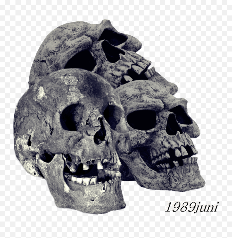 Pile Of Skulls Png Transparent Image - Transparent Skull Png Png Stone For Editing,Skull Png Transparent