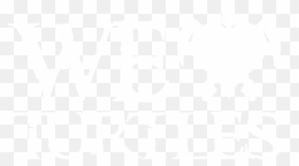 Turtles Shipwreck - Language png
