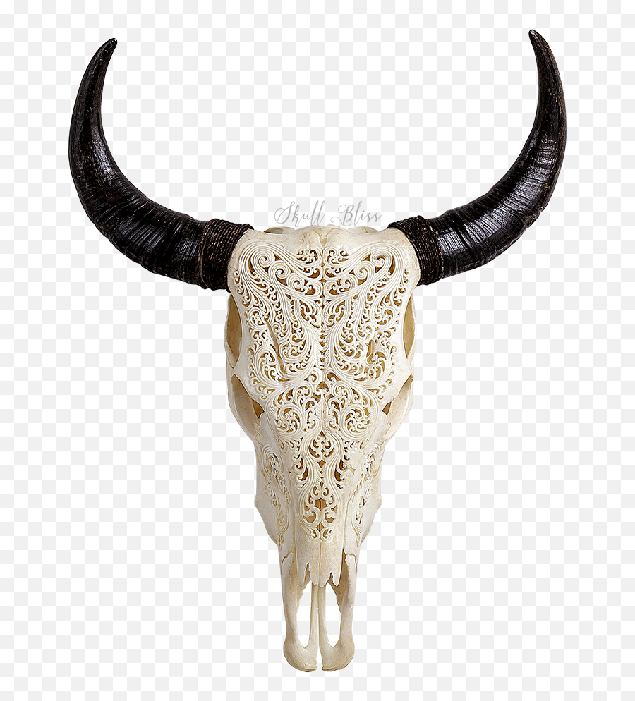 Texas Longhorn Skull Bone Bull - Carved Pattern Png Download Carved Cow Skull,Bull Skull Icon
