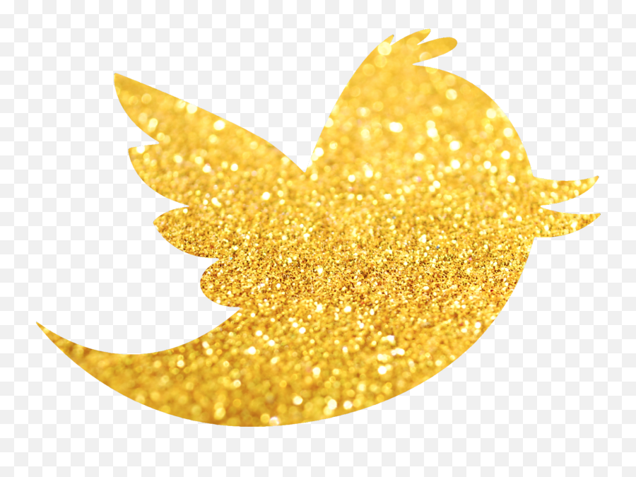 Erica U0026 Dustin - Twitter Bird Png,Gold Twitter Icon