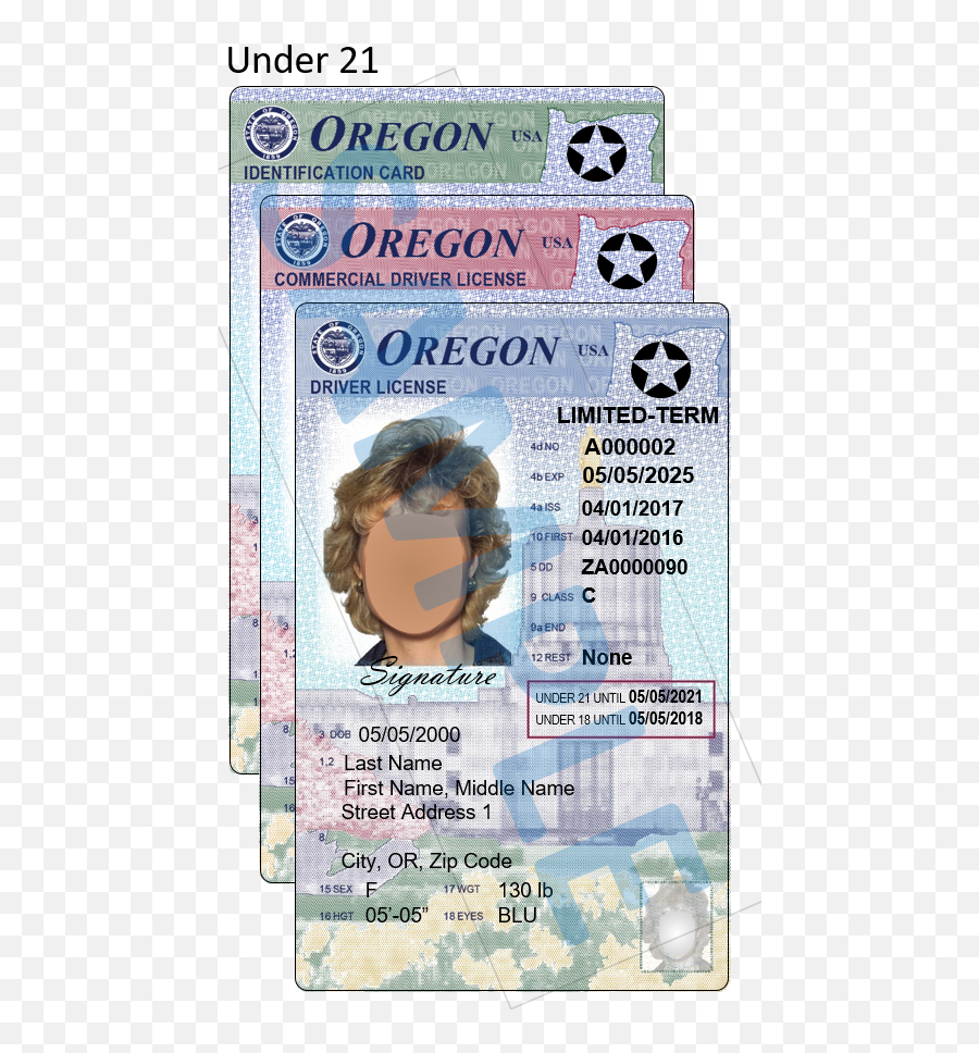 Oregon Department Of Transportation Sample Driver - Permit Number Oregon Png,Facebook Hand Icon Next To Name