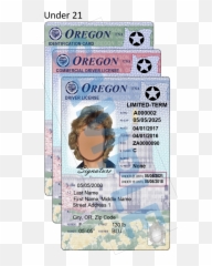 Oregon Department Of Transportation Sample Driver - Permit Number png