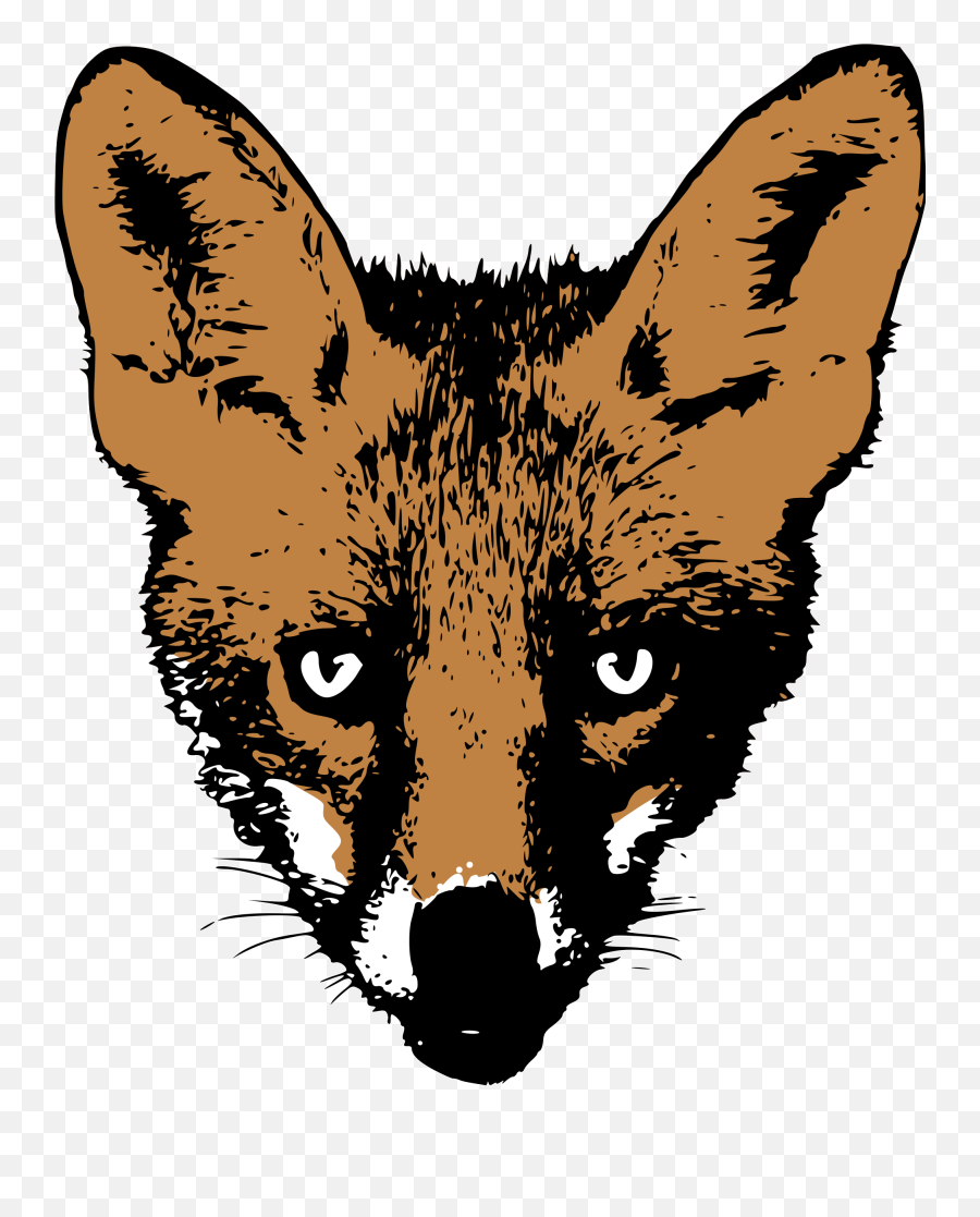 Fox Head Png 4 Image - Fox Face Png,Fox Png