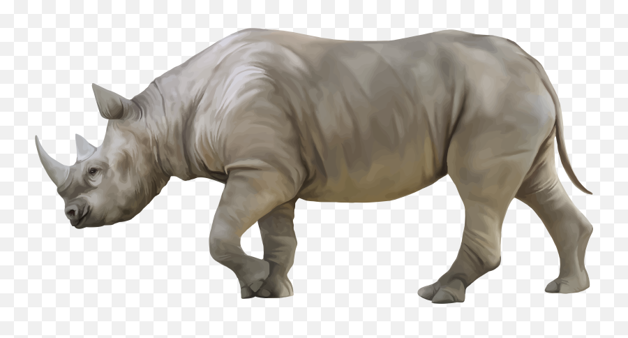 Download Hd Rhino Png Clipart - Rhino Png,Rhino Png