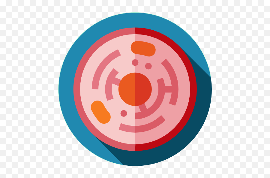 Download Free Png Science Virus Cell Biology Education - Biology Cell Icon Png,Education Icon Png