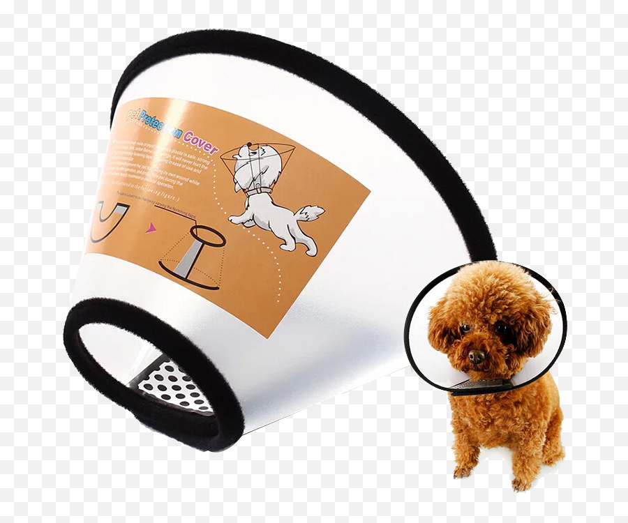 Dog Head Png - Sen Fang Elizabeth Circle Dog Collar Dog Head Pet Protection Collar,Dog Head Png
