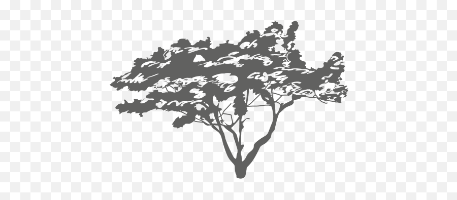 Transparent Png Svg Vector File - Siluetas De Arboles Png,Arbol Png