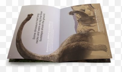Png - Visual Arts,Brachiosaurus Png