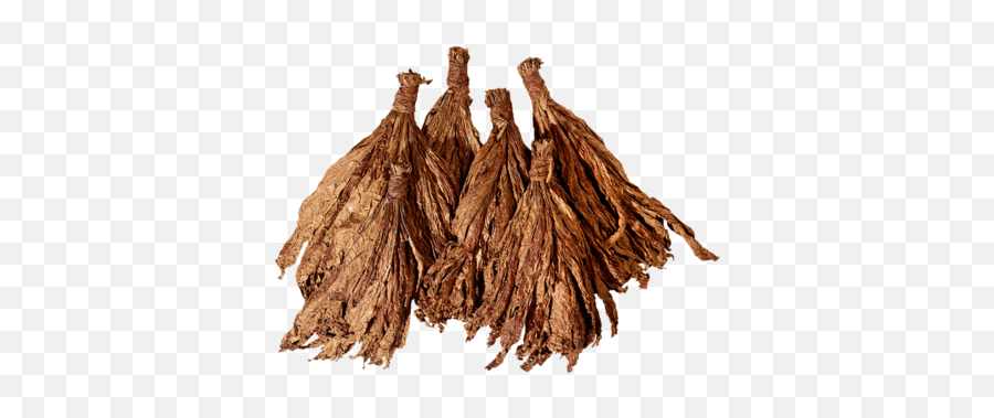 Landewyck Burley Tobacco - Cognac Png,Tobacco Png