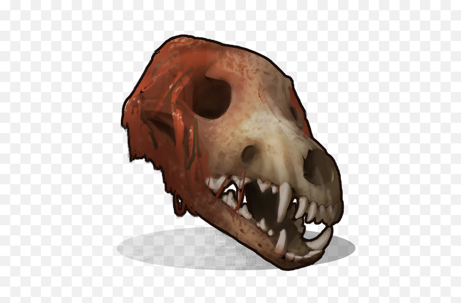 Wolf Skull Rust Wiki Fandom - Wolf Skull On Head Png,Skull Transparent
