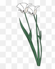 Plant Shrub Flowers Outline Svg Vector - png