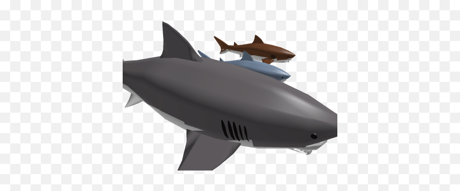 Jaws Needs A Shark Sir - Roblox Great White Shark Png,Jaws Png