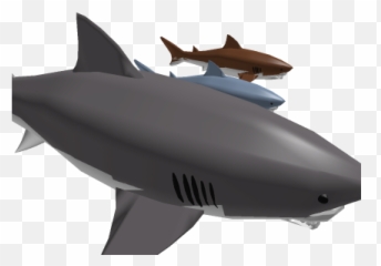 Jaws Needs A Shark Sir - Roblox Great White Shark Png,Jaws Png