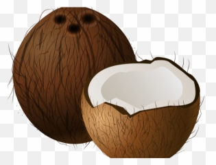 Transparent Background Clip Art Coconut - Clipart png