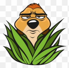 Vk Sticker - Stickers Timao E Pumba Png,Pumba Png