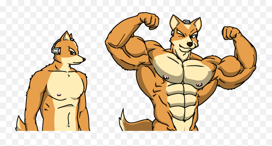 Fox Mccloud Muscle Star Buff - Fox Mccloud Muscle Png,Fox Mccloud Png