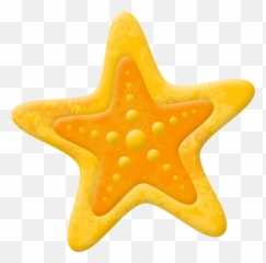 Clipart Transparent Background - Dot Png,Starfish Clipart Transparent Background