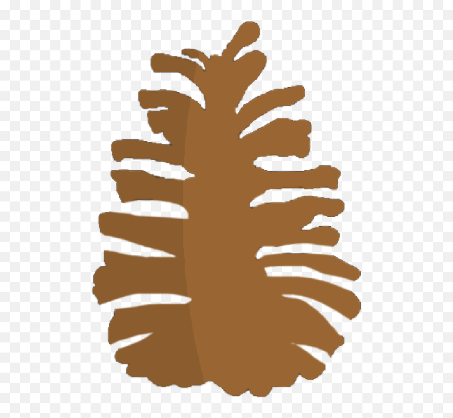 Pinecone - Conifer Cone Png,Pinecone Png