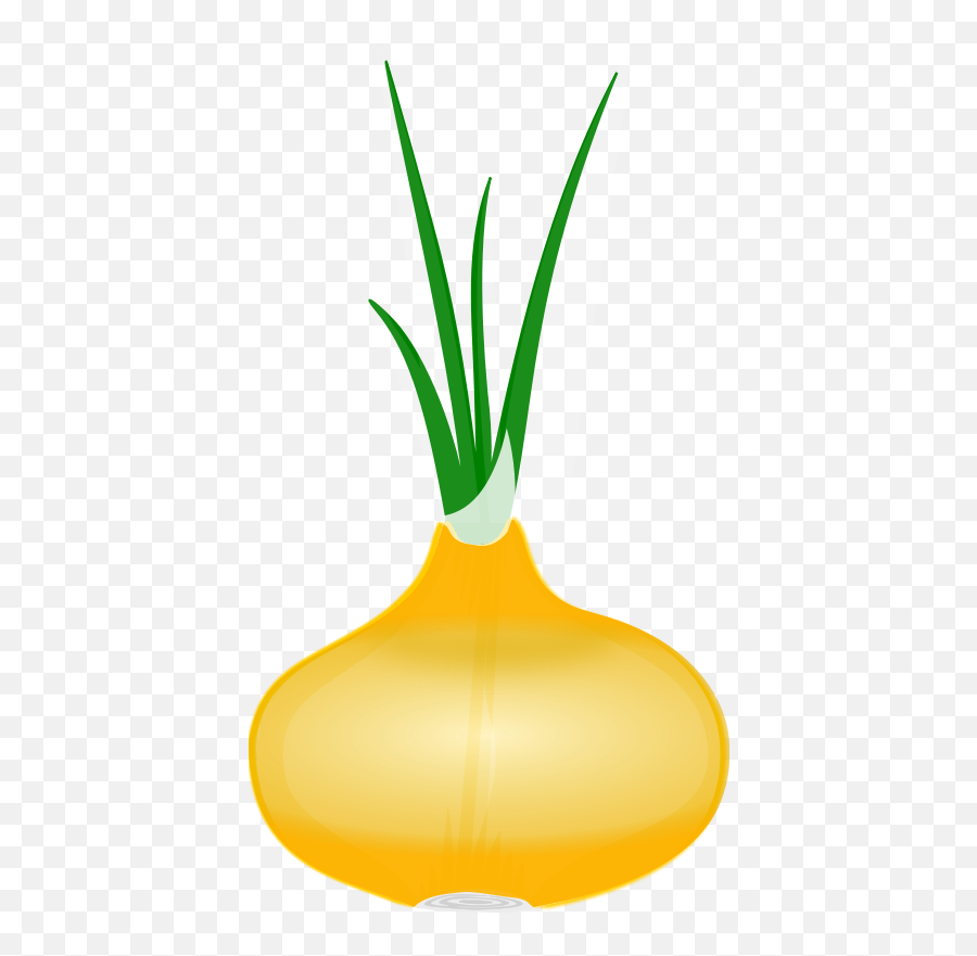 Vegetable Clipart - Onion Clip Art Png,Vegetables Transparent