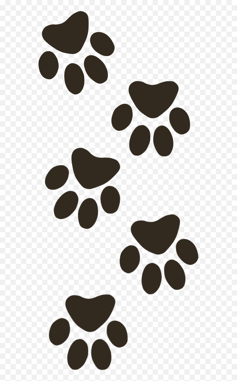 Download 4 Paws - Paw Png Image With No Background Pngkeycom Paws,Paw Png