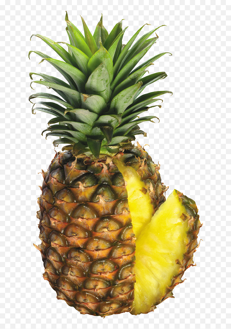 Pineapple Png Image Free Download - Png,Pineapple Png