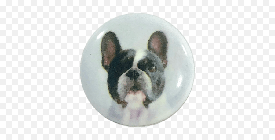 Snap Charm Dog Boston Terrier Painted - French Bulldog Png,Boston Terrier Png