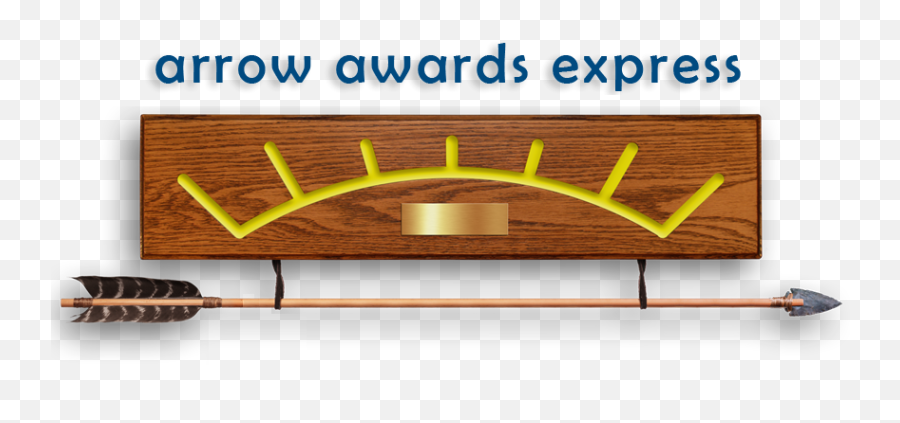 Arrow Awards Express Black Feather With Choice Of - Arrow Of Light Awards Png,Feathered Arrow Png