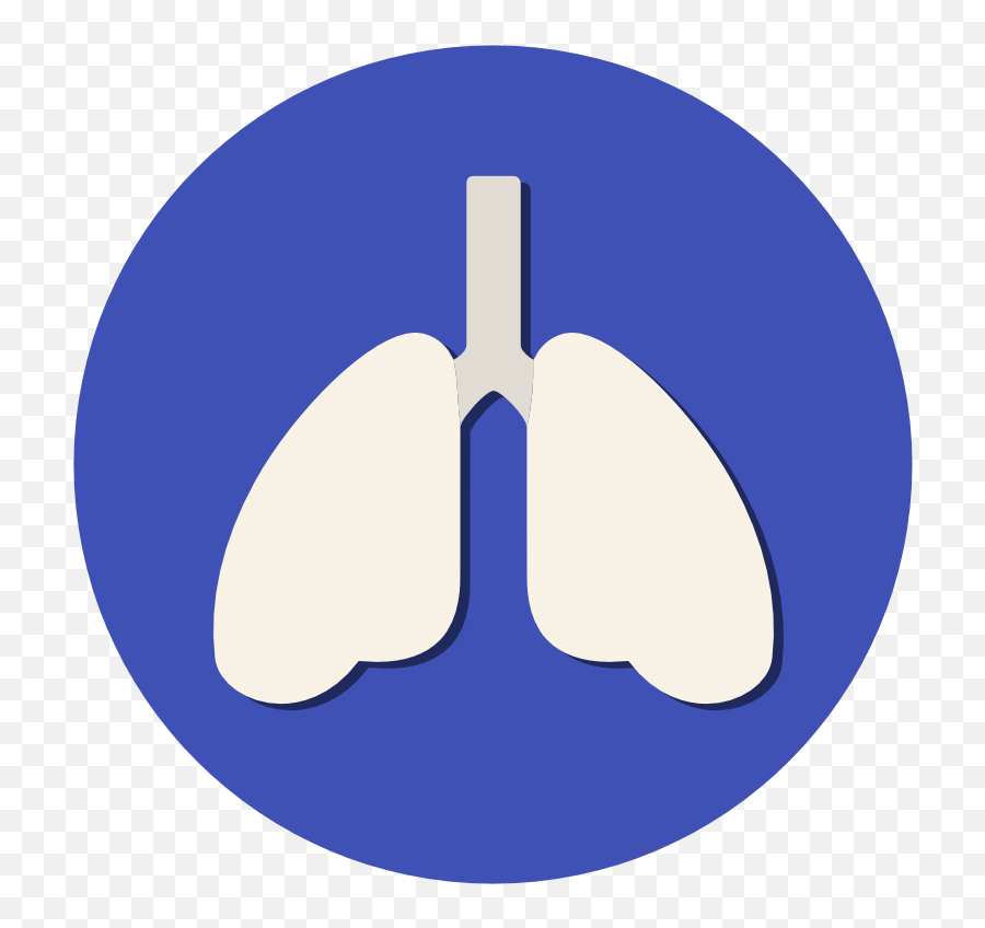 Sgrq - St Georgeu0027s Respiratory Questionnaire Application Language Png,Icon At St. George