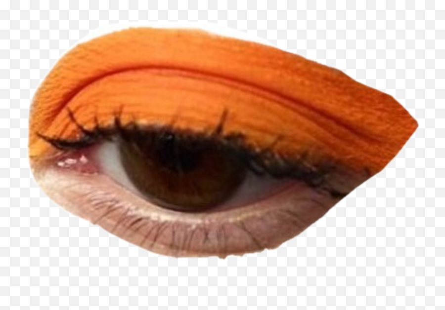 Moodboard Filler Png Eye Makeup Interesting Niche Meme - Makeup Orange Eyeliner,Makeup Transparent Background