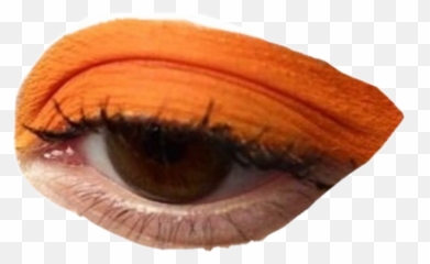 Moodboard Filler Png Eye Makeup Interesting Niche Meme - Makeup Orange Eyeliner,Makeup Transparent Background