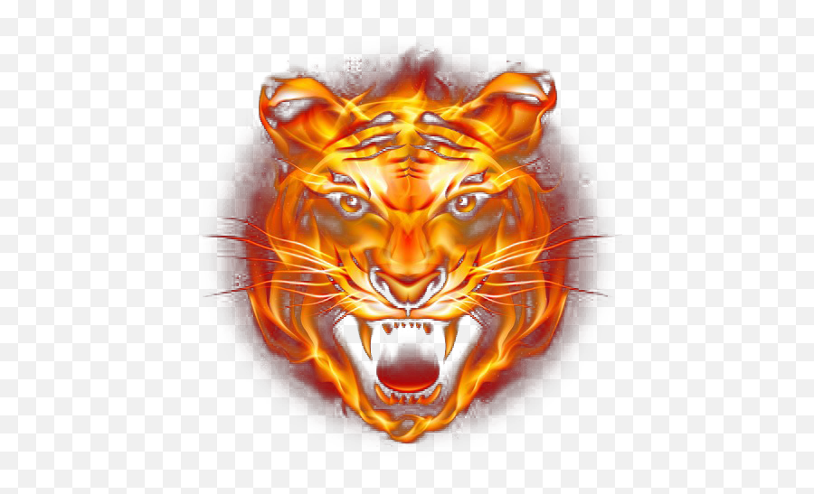 Download Tiger Fire Fierce Png Free Clipart - Tiger Face Png,Fierce Icon