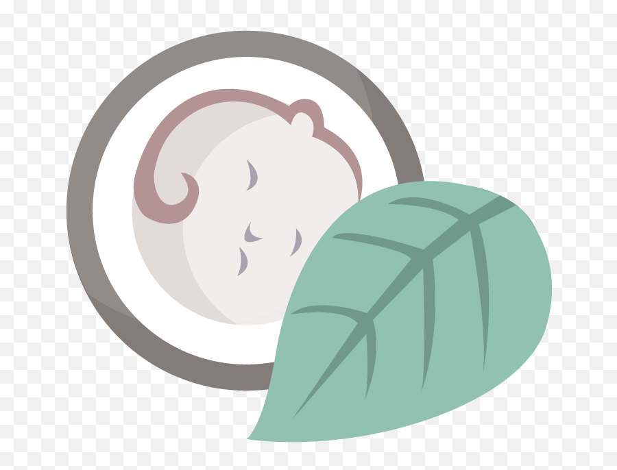 Home - Clip Art Png,Coconut Icon