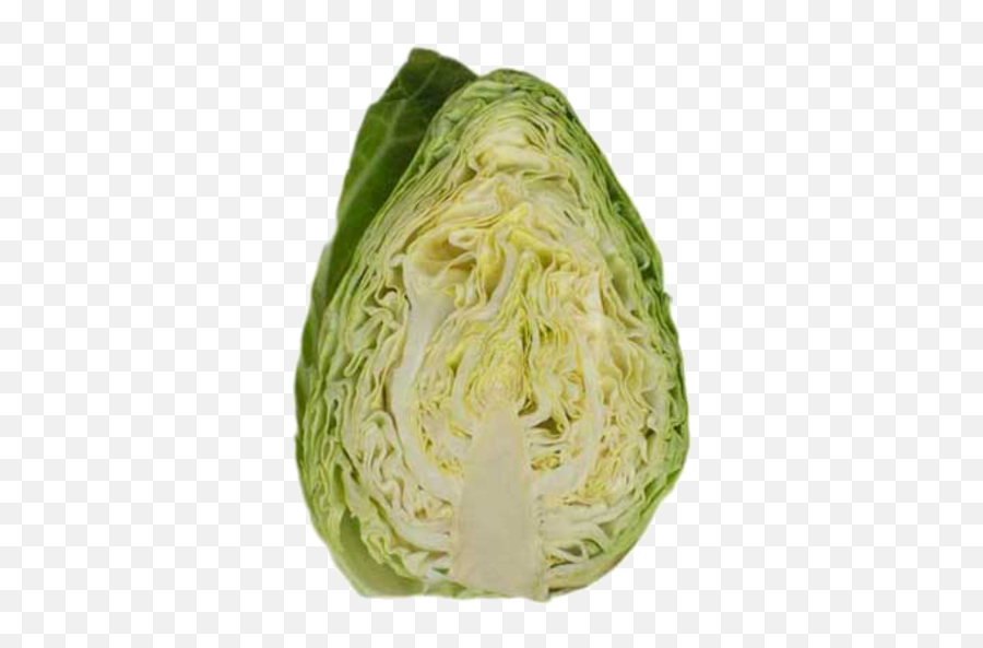 Download Free Photos Cabbage Half Transparent Image Hq Png Icon