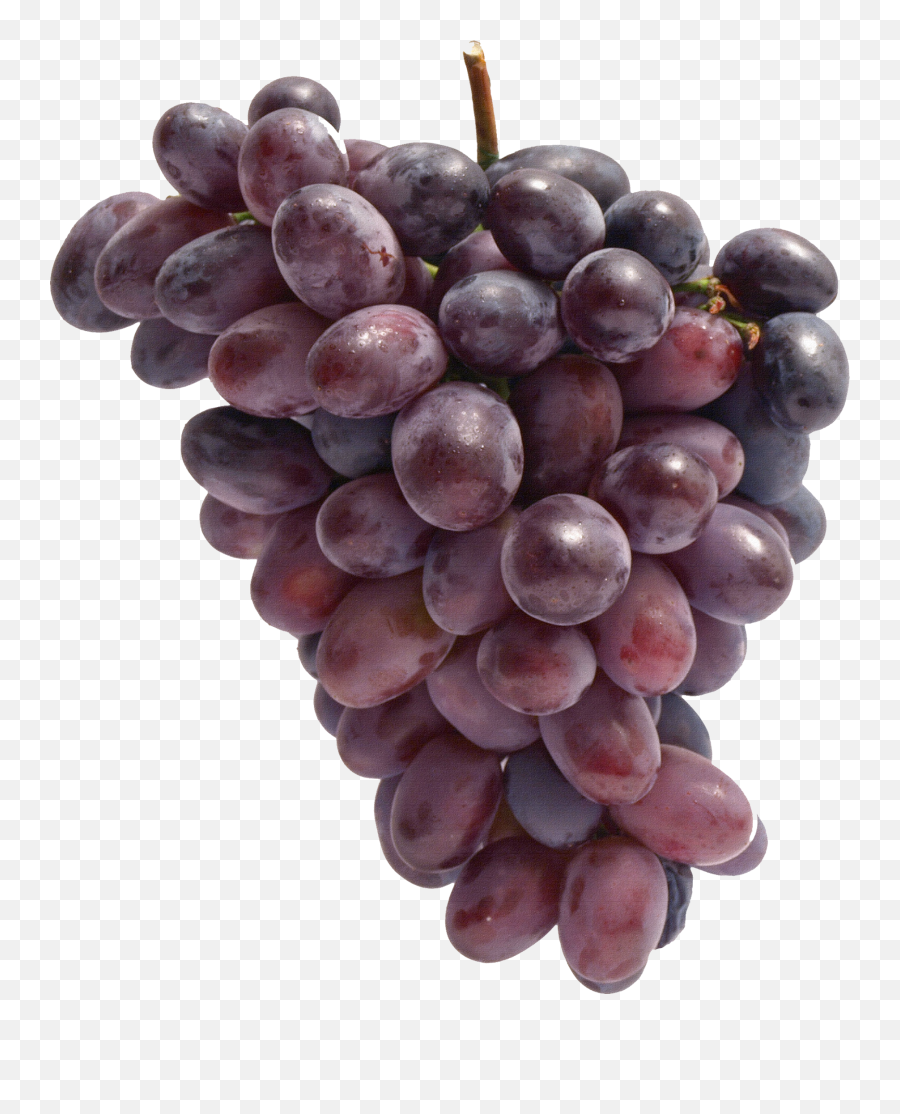 Red Grapes Png Image - Purepng Free Transparent Cc0 Png Grapes Png,Grapes Png