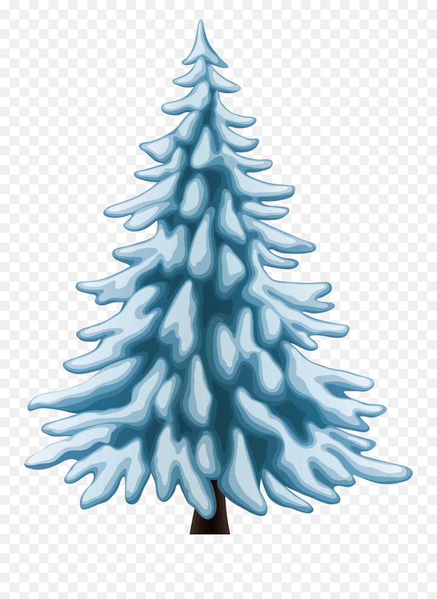 Download Free Png Winter Pine Tree Transparent Background