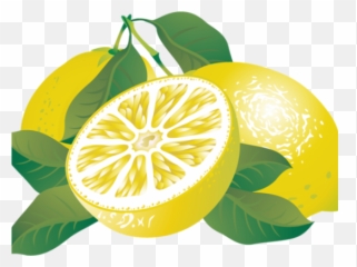 Lemon Clipart Png Transparent - Free Lemon Clipart Png,Lemon Clipart Png