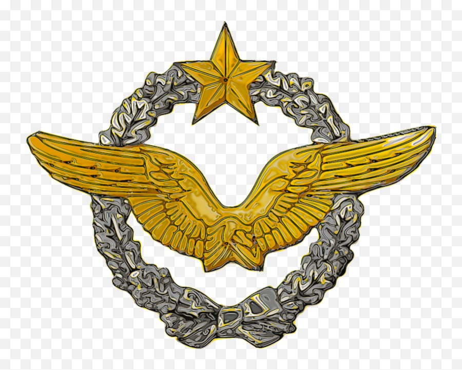 French Military Pilot Wings Png - Pilot,Pilot Wings Png