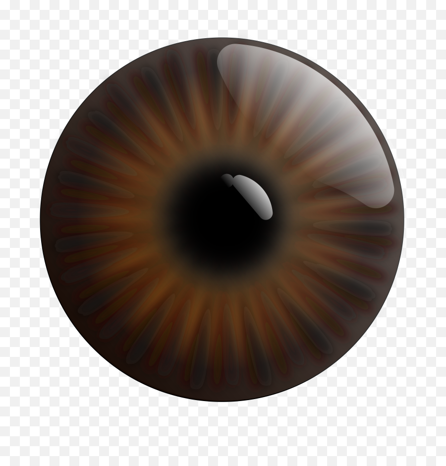 Eye Realistic Iris - Ojo Png,Realistic Eye Png