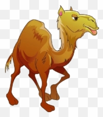 Camel - Pngclipart 16 Free Download,Camel Png