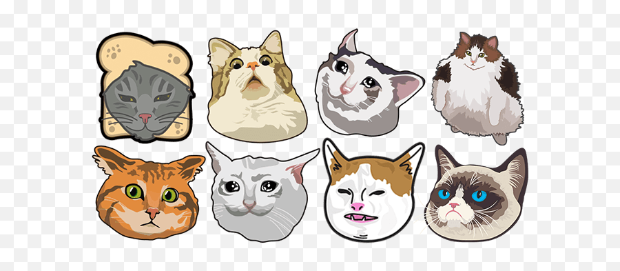 Funny Cats - Funny Cats Cat Meme Png,Knife Cat Meme Transparent