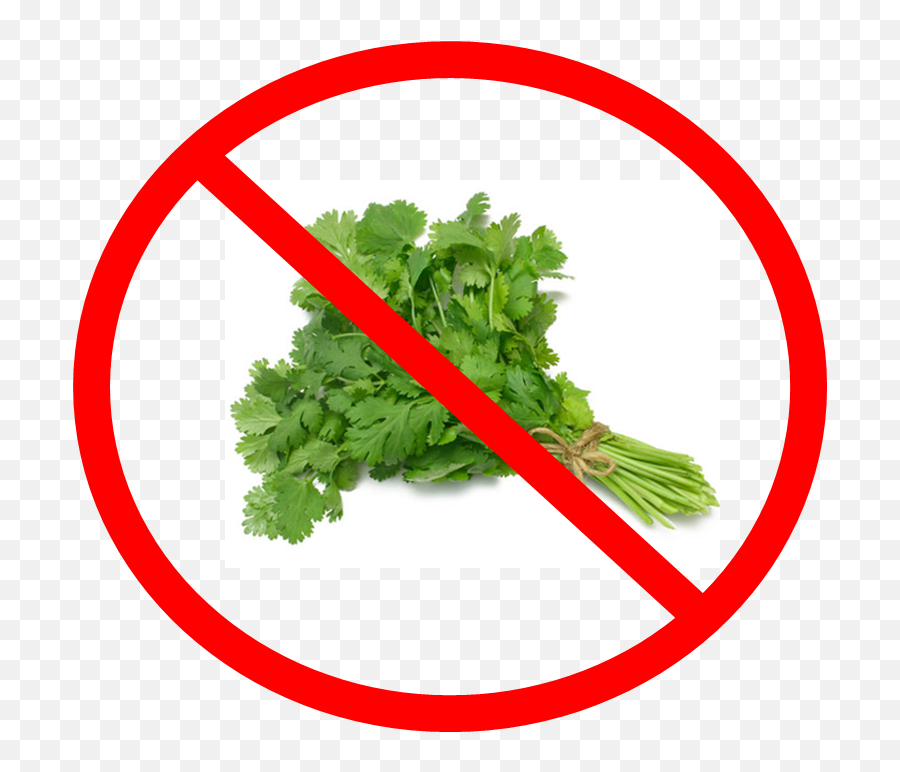 A Food Loveru0027s Guide To Biomedical Waste U2013 Talkinu0027 Trash - Say No To Coriander Png,Cilantro Png