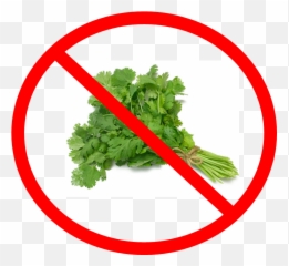 A Food Loveru0027s Guide To Biomedical Waste U2013 Talkinu0027 Trash - Say No To Coriander Png,Cilantro Png